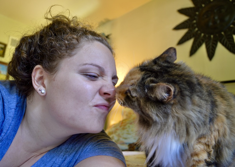a young girl and calico cat rubbing noses 